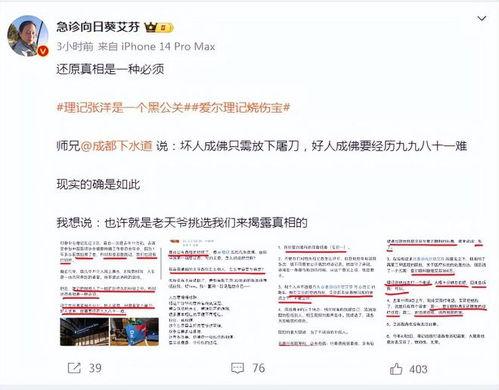 艾芬最新爆料,揭秘事件背后惊人真相 第2张 艾芬最新爆料,揭秘事件背后惊人真相 第2张