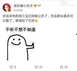 卓伟爆料打码视频,神秘打码视频引发热议,真相究竟如何? 第3张 卓伟爆料打码视频,神秘打码视频引发热议,真相究竟如何? 第3张